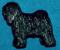 Tibet Terrier Anstecker