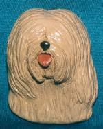 Tibet Terrier Kopf hell