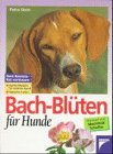 Mehr Informationen? Jetzt bestellen? - Hier klicken !
