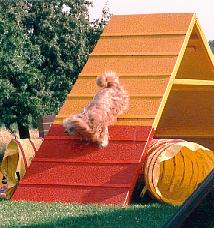 Kallemann auf der A-Wand