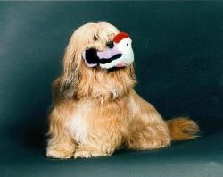 Kallemann mit Pl&uuml;sch-V&ouml;gelchen